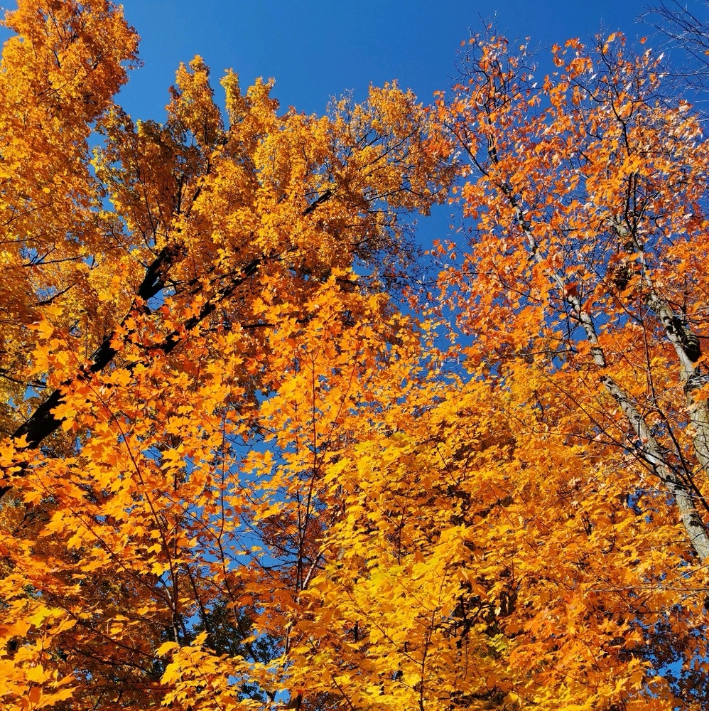 Meet your Posher, Lynn